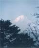 9s.jpg (12193 bytes)