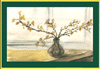 ��������� ��������  41 �����