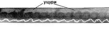 p18.jpg (6408 bytes)
