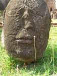 41s.jpg (33639 bytes)